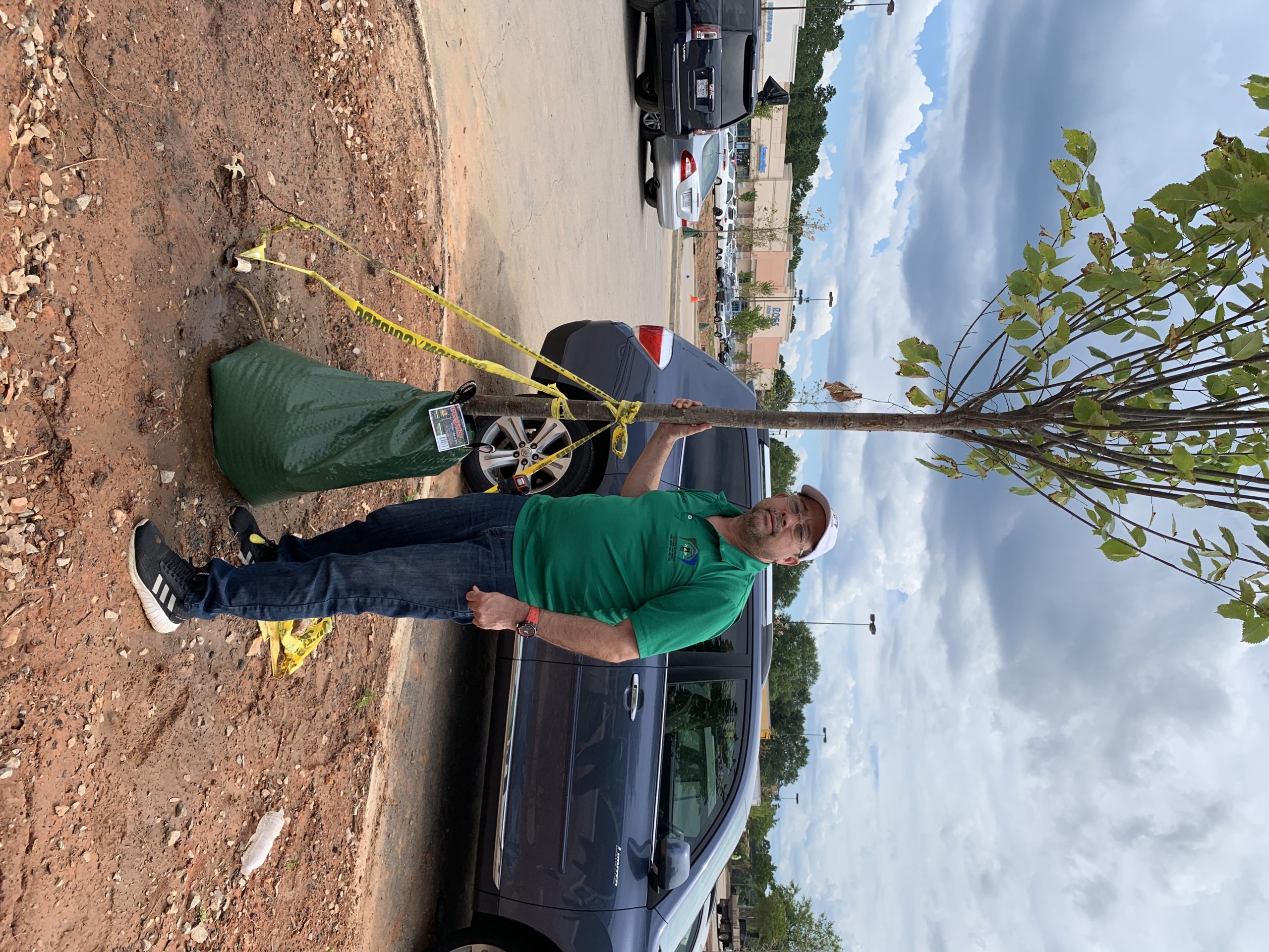 PROJECTSRFUSA. Image 1. Tree for Planting (PROJECTS RF USA - AGO2019)